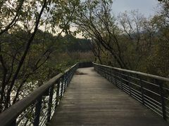 -西湖风景区-江洋畈生态公园