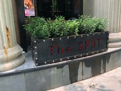 -Judy's  spot