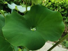 -法华学问寺-停车场