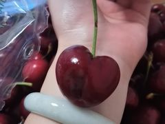 -麦德龙(湖里店)