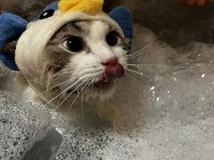 -听TA说宠咖·宠物生活馆(天韵水岸店)