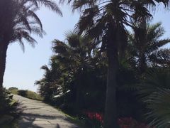 -瑶湖郊野森林公园