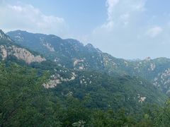-大岭沟猕猴桃谷风景区