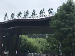 -黄海国家森林公园