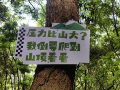 -平湖九龙山旅游度假区