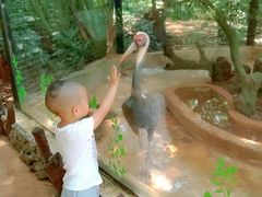 -海南热带野生动植物园