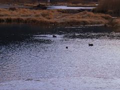-丽江泸沽湖景区