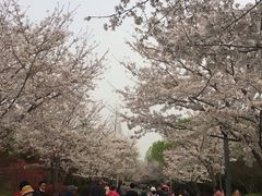 -尚贤河湿地