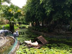 -三亚亚龙湾天域度假酒店