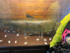 -南京金牛湖风景区