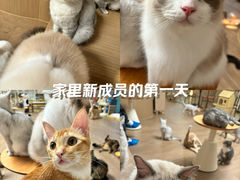 -悦然广场(北滘店)