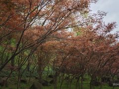 -南京市江宁方山