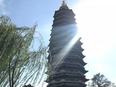 -盛兴面馆(真儒大厦店)