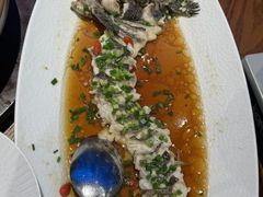 -驻海渔市(置信店)