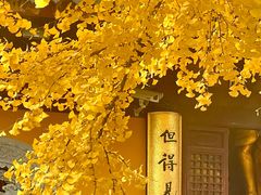 -龙华素斋(龙华路店)