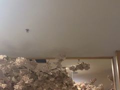 -金九姬黑牛烤肉料理(杨舍老街店)