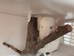 -龙猫仔乐园(惠福东路店)