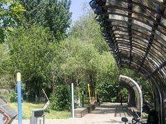 -长白岛森林公园