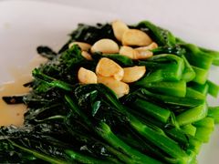-梧桐庄园