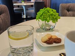 -深圳湾木棉花酒店