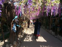 -呀路古热带植物园