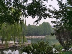 -大兴滨河森林公园