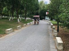 -苏州独墅湖世尊酒店