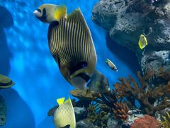 -福州罗源湾海洋世界旅游区