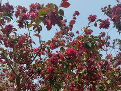 -元大都城垣遗址公园