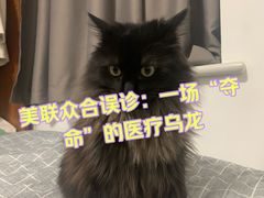 -美联众合动物医院·24h京西诊疗中心