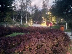 -回龙观体育文化公园