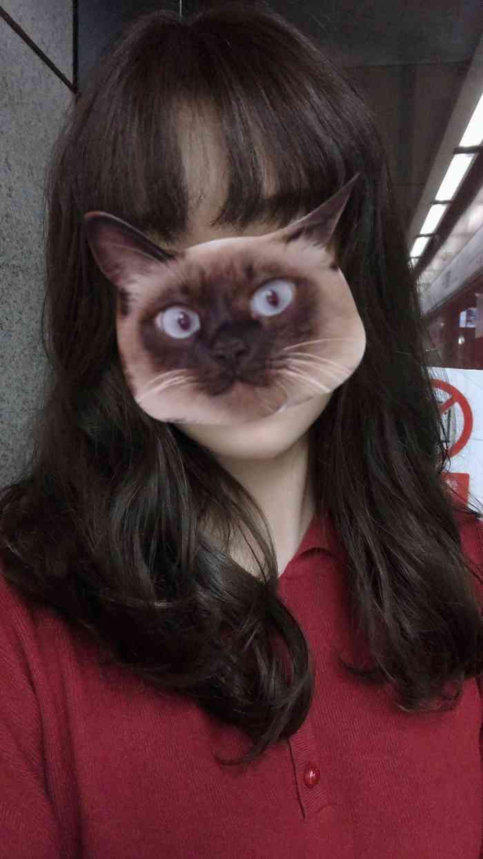 上次是剪刘海,这次是染头发,女生的事情就是多!