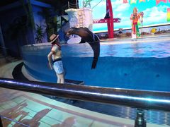 -三亚海昌梦幻海洋不夜城