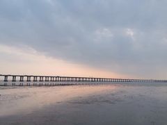 -宝安西湾红树林湿地公园