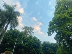 -深圳仙湖植物园
