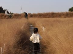 -嘉北郊野公园