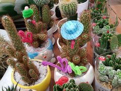 -金科花卉市场