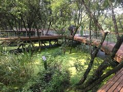 -西湖风景区-江洋畈生态公园