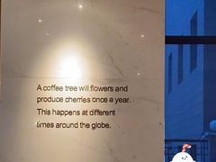 -星巴克(汾阳路店)