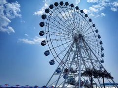 -秦皇岛乐岛海洋王国