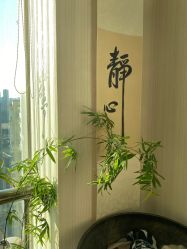 -梦白空间瑜伽馆