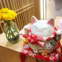 -一本X目奈子日式单根美睫专业店