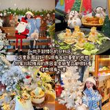 南京适合过圣诞的好吃饭！！（无广合集！）