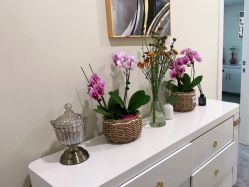 -海涛医疗美容·面部抗衰·注射美鼻