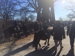 -瓦萨沉船博物馆