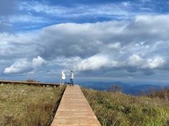 -白草畔自然风景区