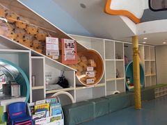 -极橙儿童齿科矫正中心(奥城店)