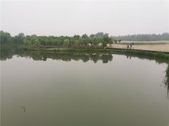 -东郊湿地公园