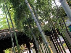 -梅园