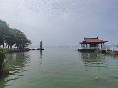 -无锡蠡湖国家湿地公园-蠡园